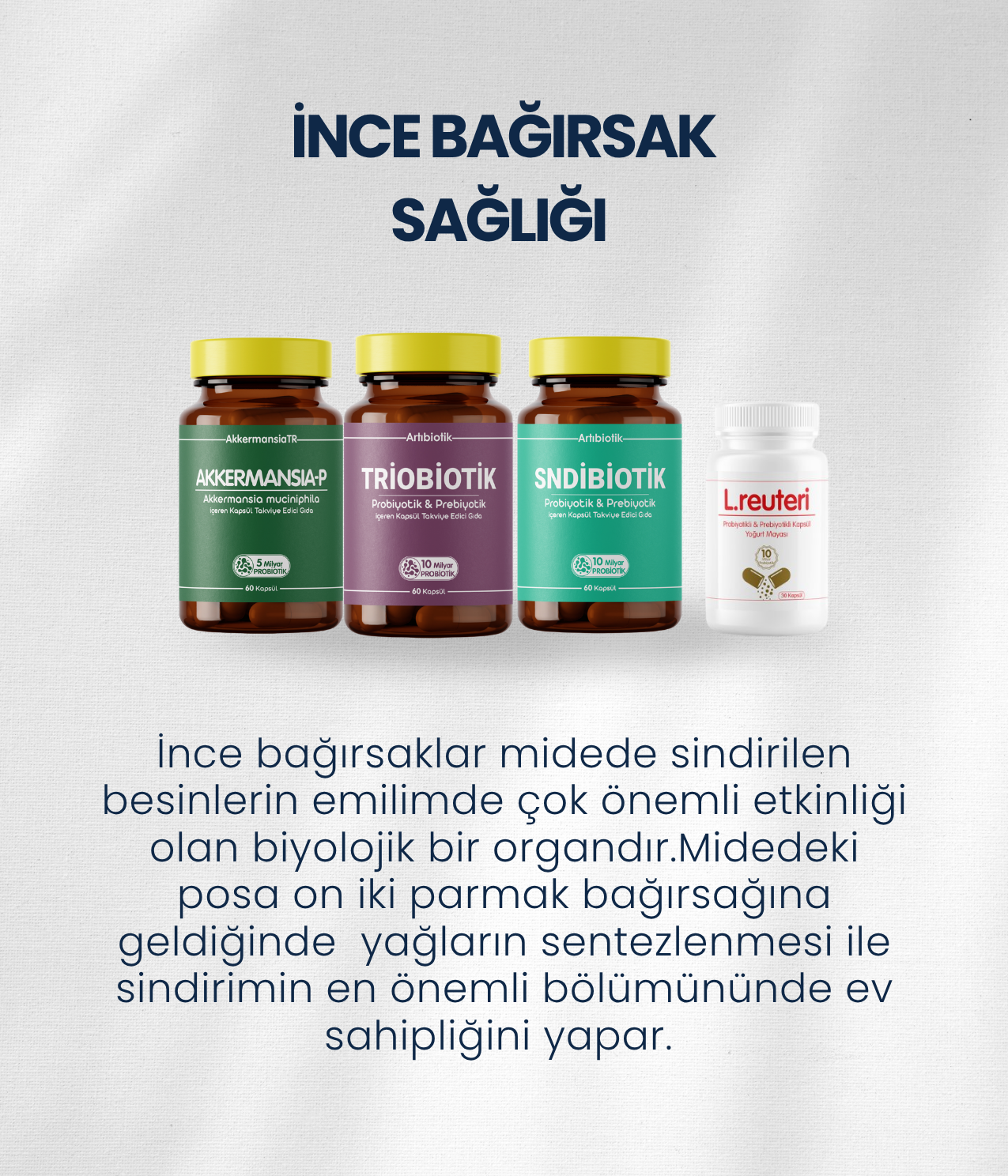 İnce Bağırsak Probiyotik Seti