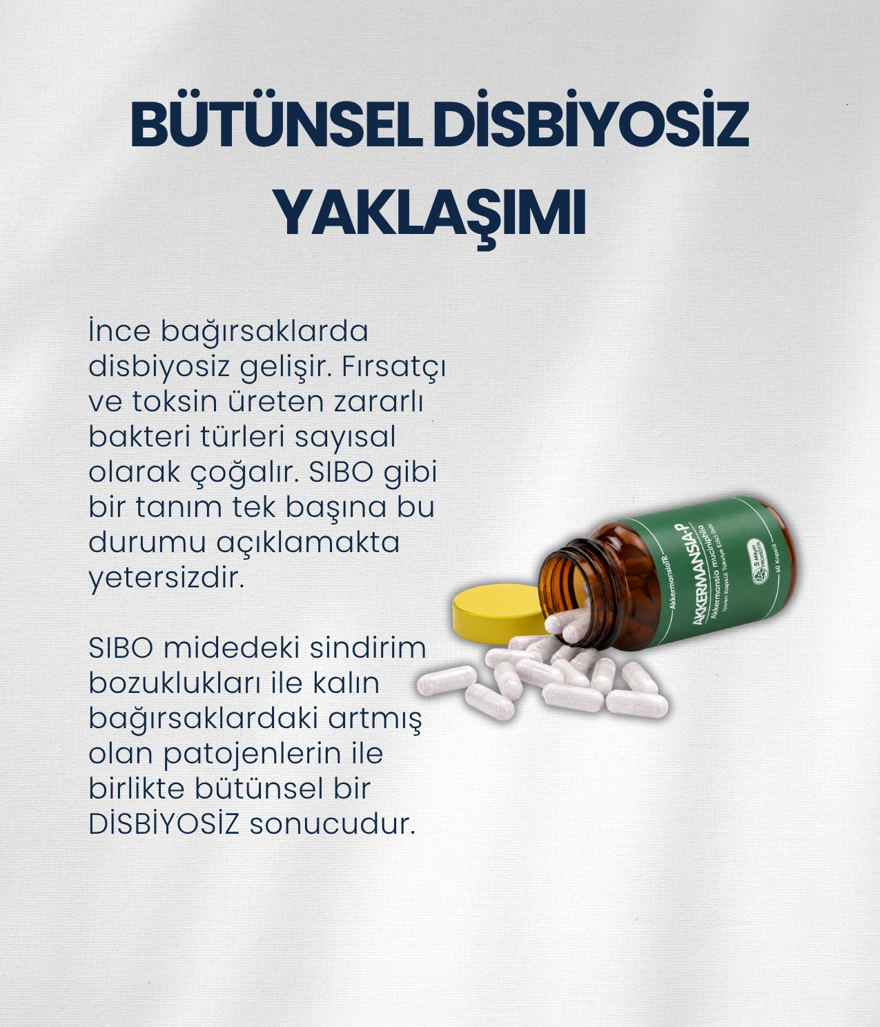 İnce Bağırsak Probiyotik Seti