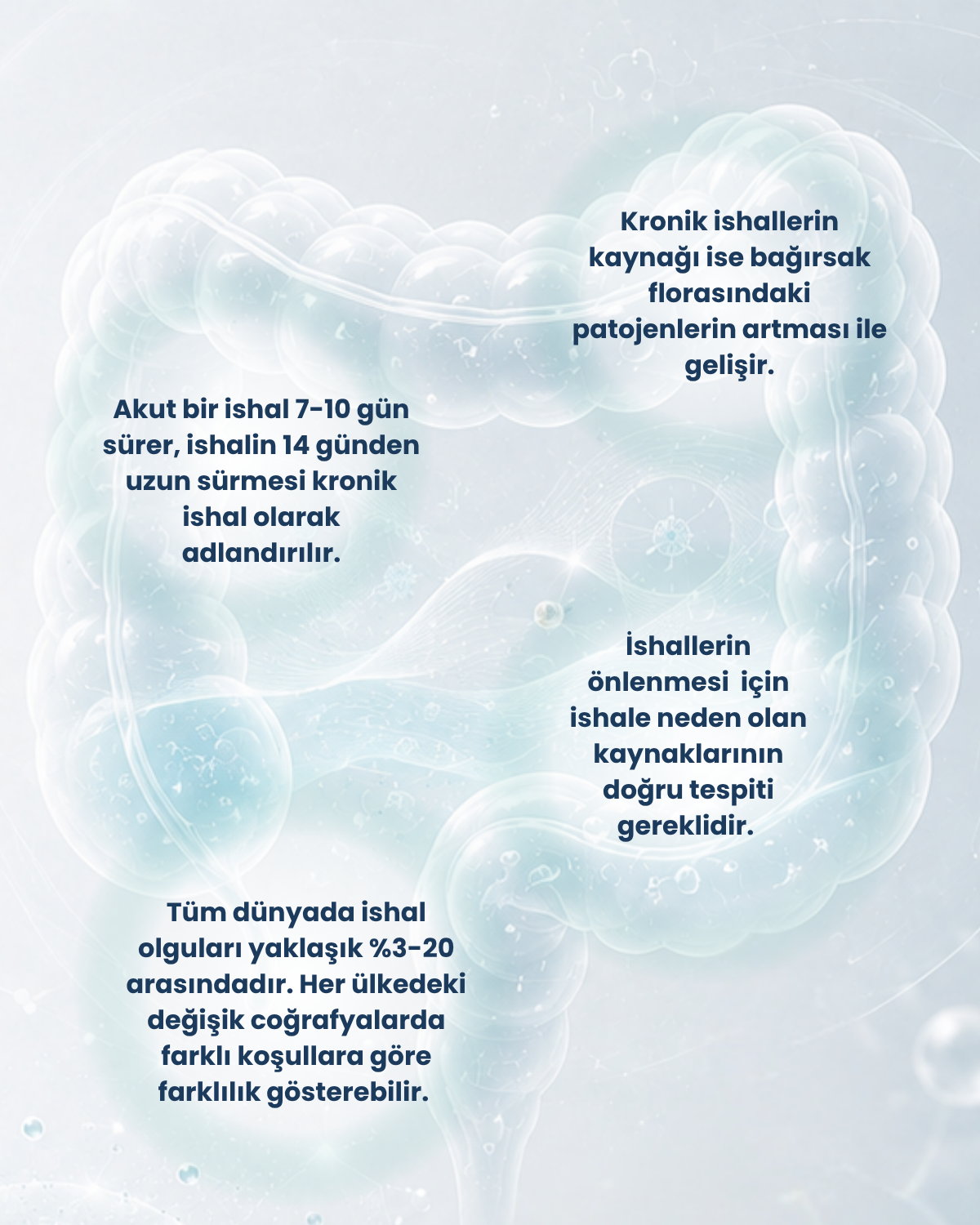 Kalın Bağırsak Sağlığı Probiyotik Seti 2