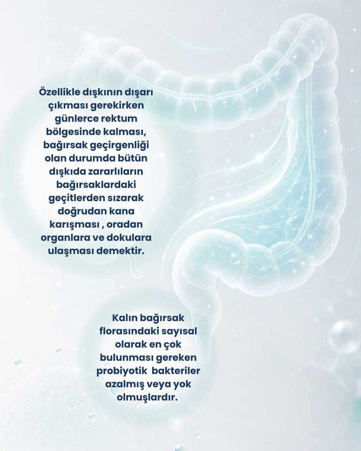 Kalın Bağırsak Sağlığı Probiyotik Seti 1 