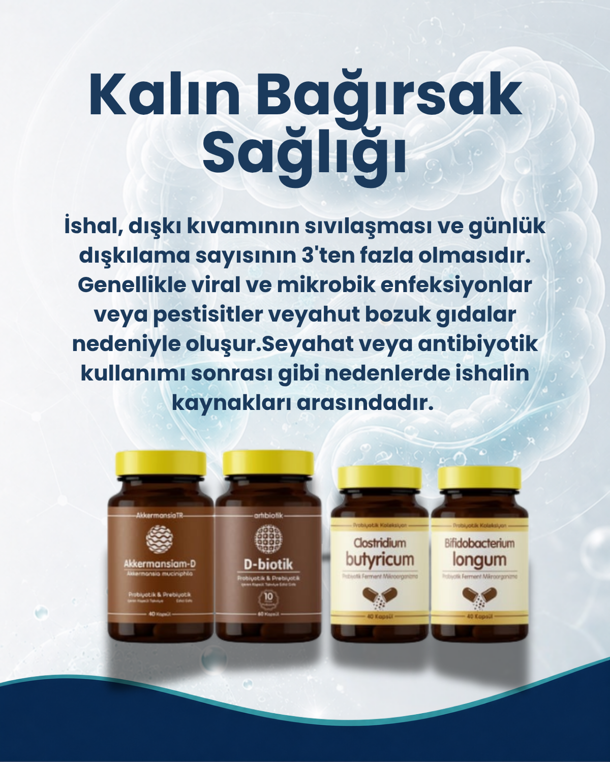 Kalın Bağırsak Sağlığı Probiyotik Seti 2