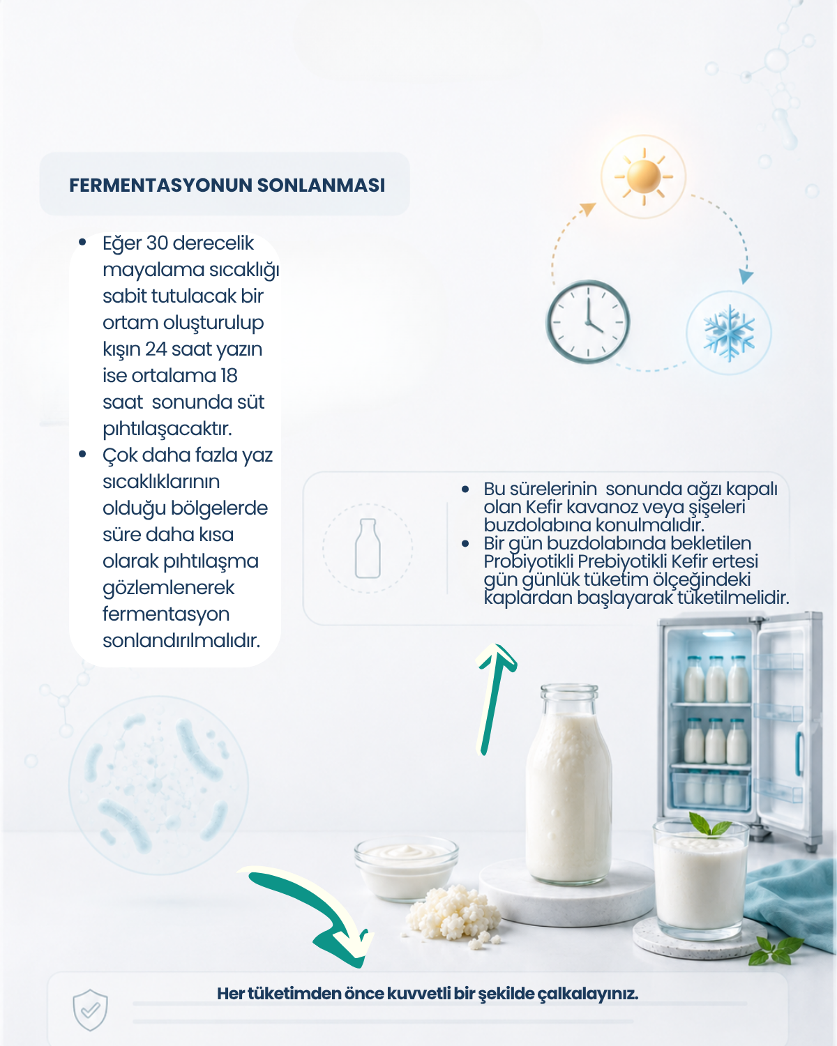 Kefir Mayası 10 Kapsül
