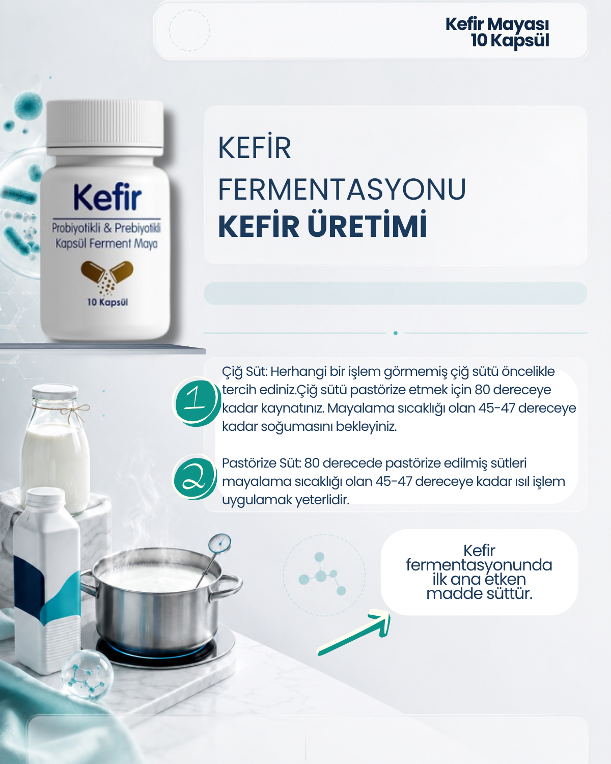 Kefir Mayası 10 Kapsül