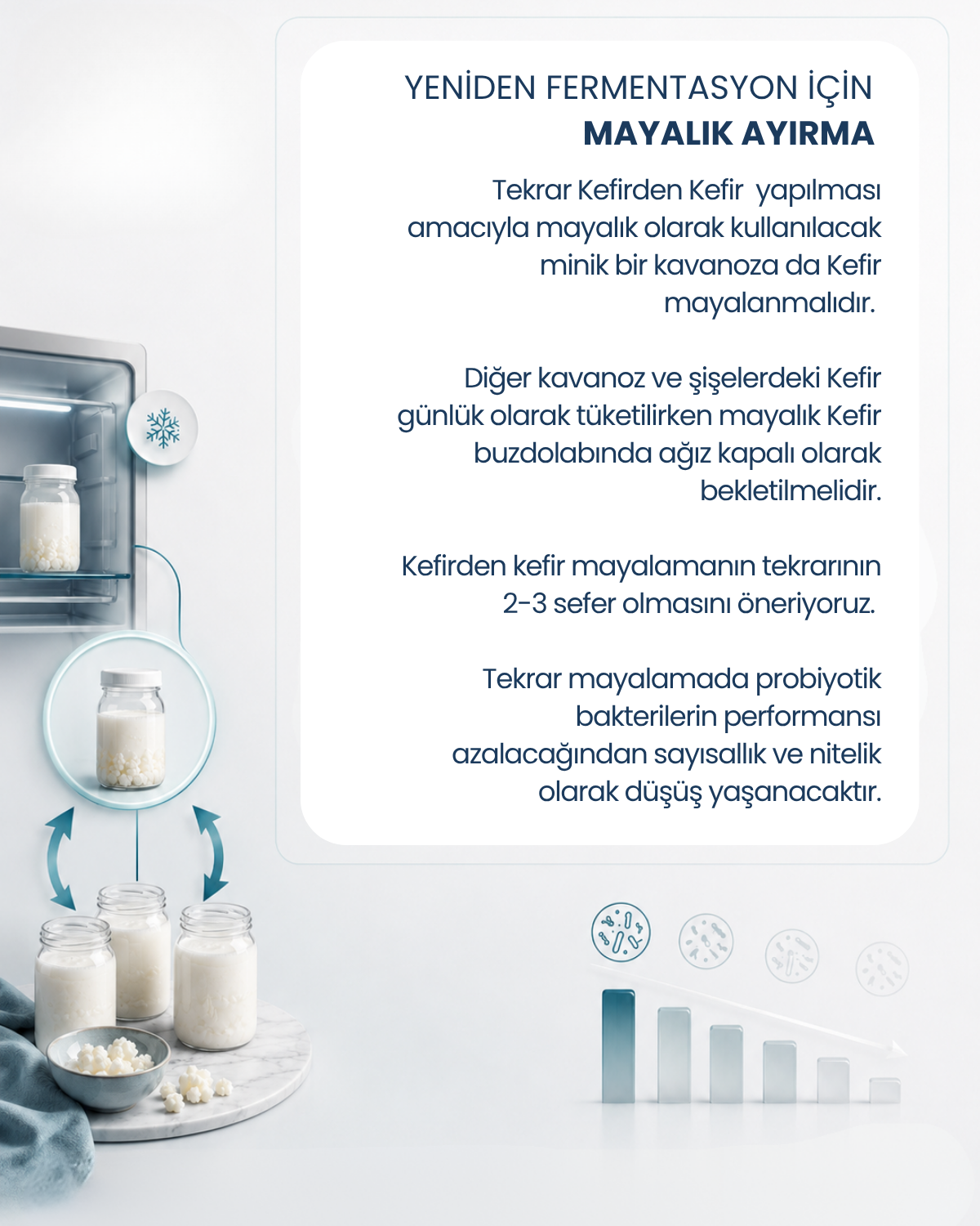 Kefir Mayası 10 Kapsül