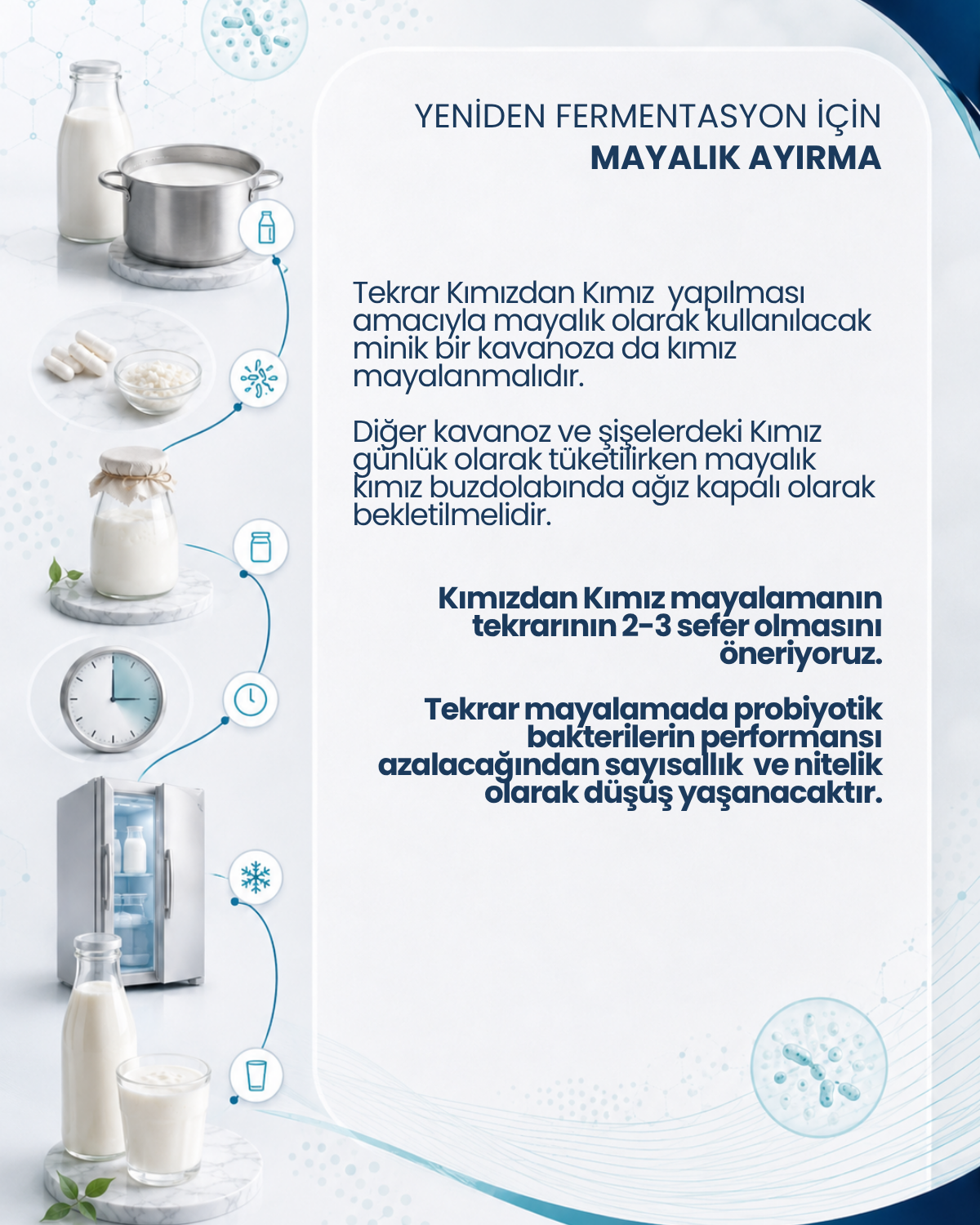 Kımız Mayası 10 Kapsül
