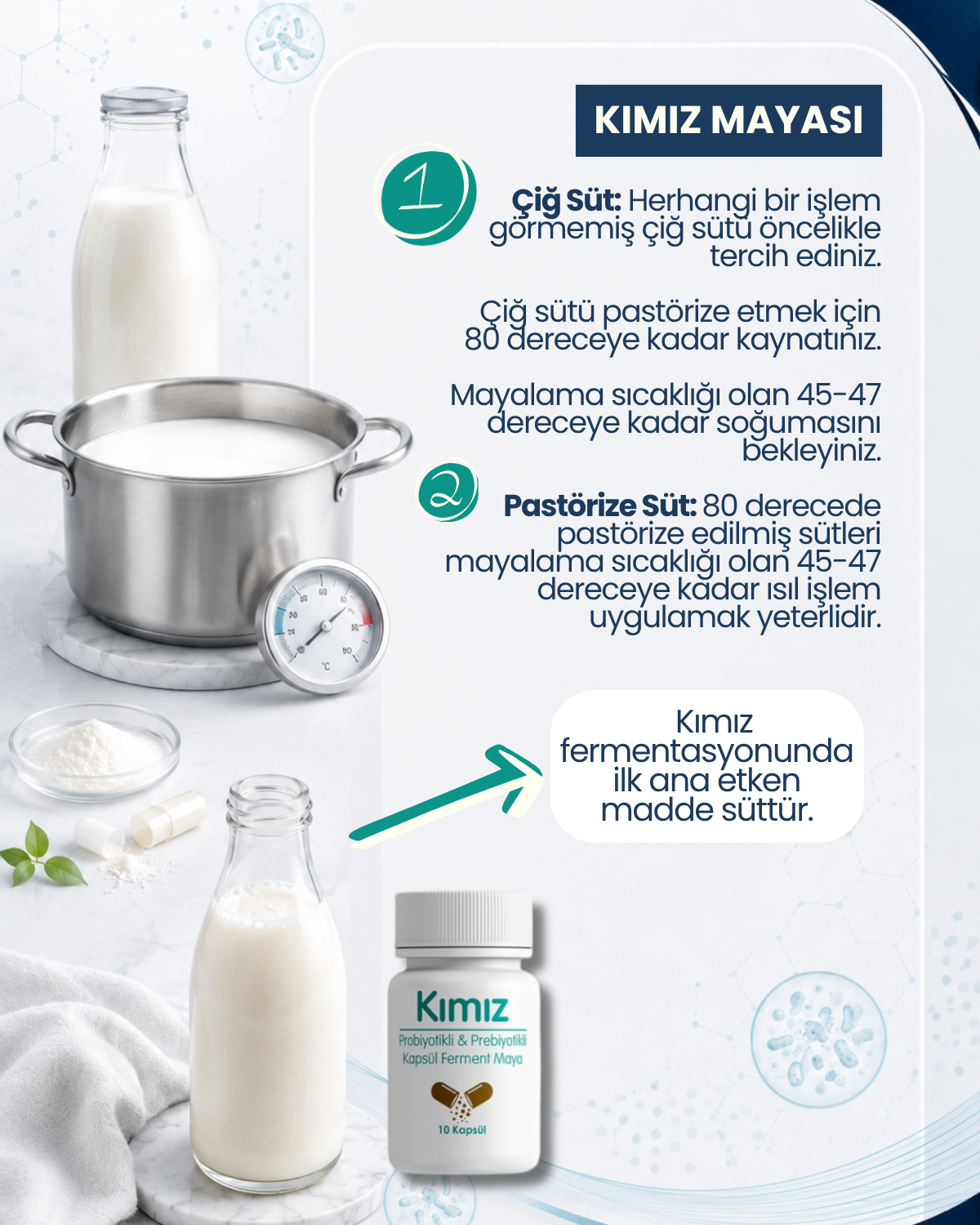 Kımız Mayası 10 Kapsül