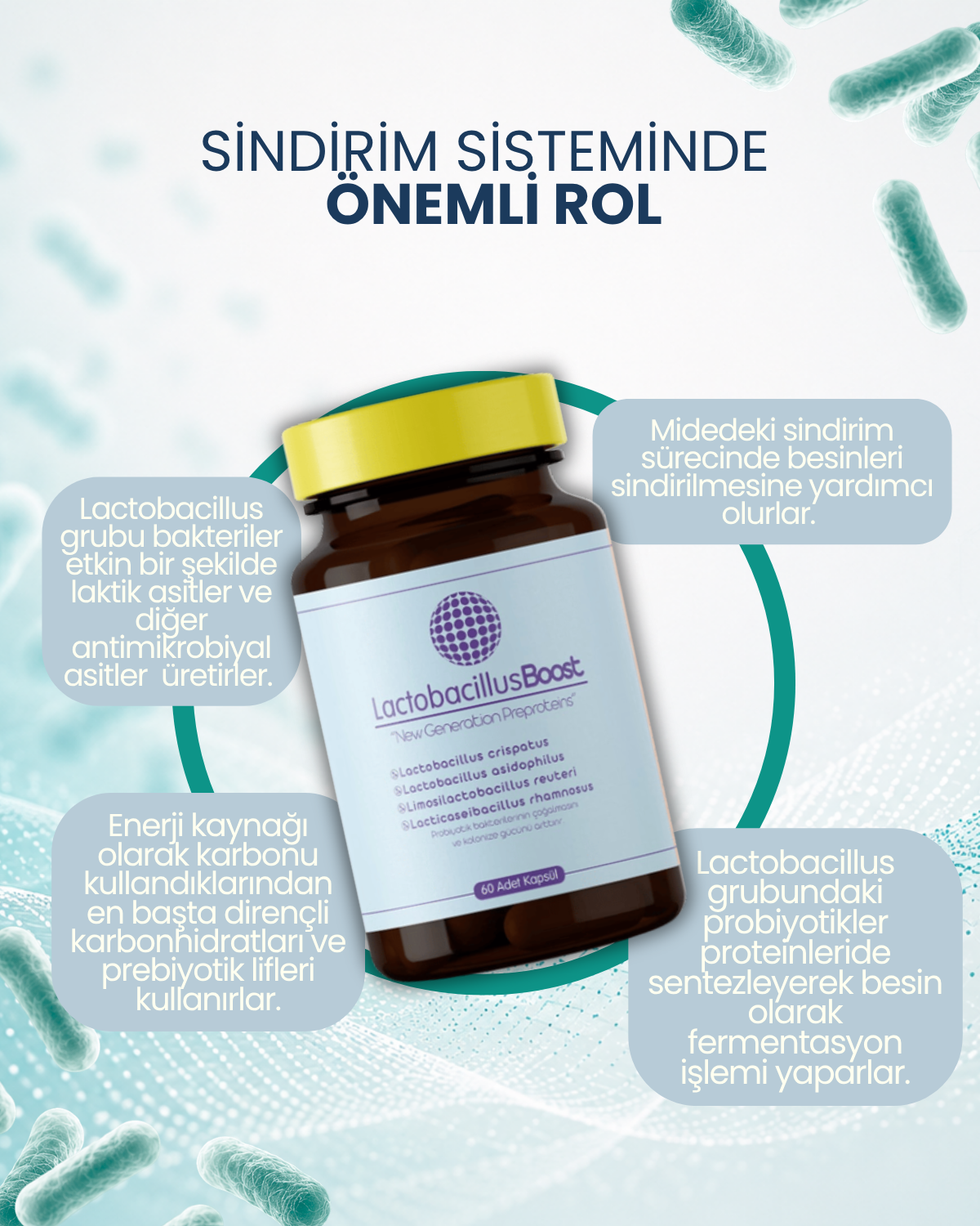 LactobacillusBoost 60 Kapsül