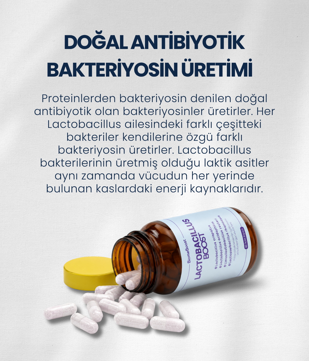 LactobacillusBoost 60 Kapsül