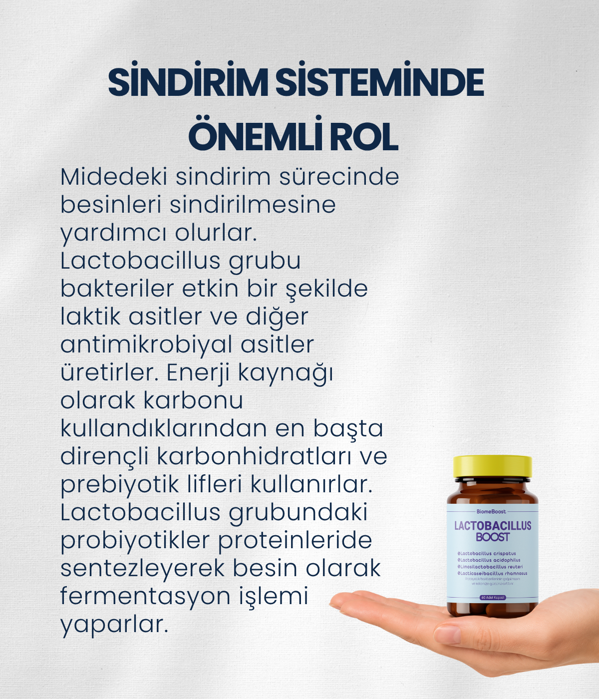 LactobacillusBoost 60 Kapsül