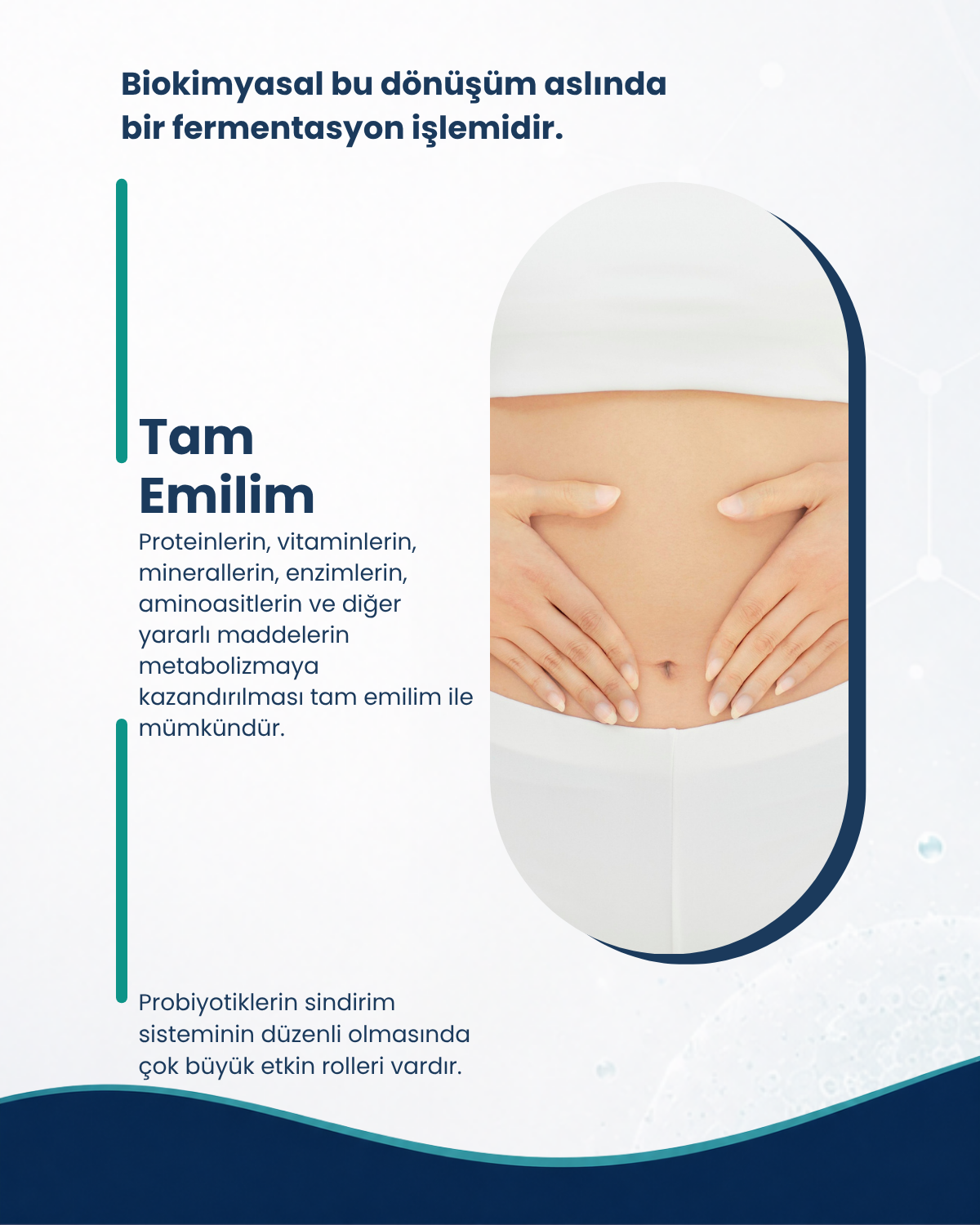 Mide Sağlığı Probiyotik Seti