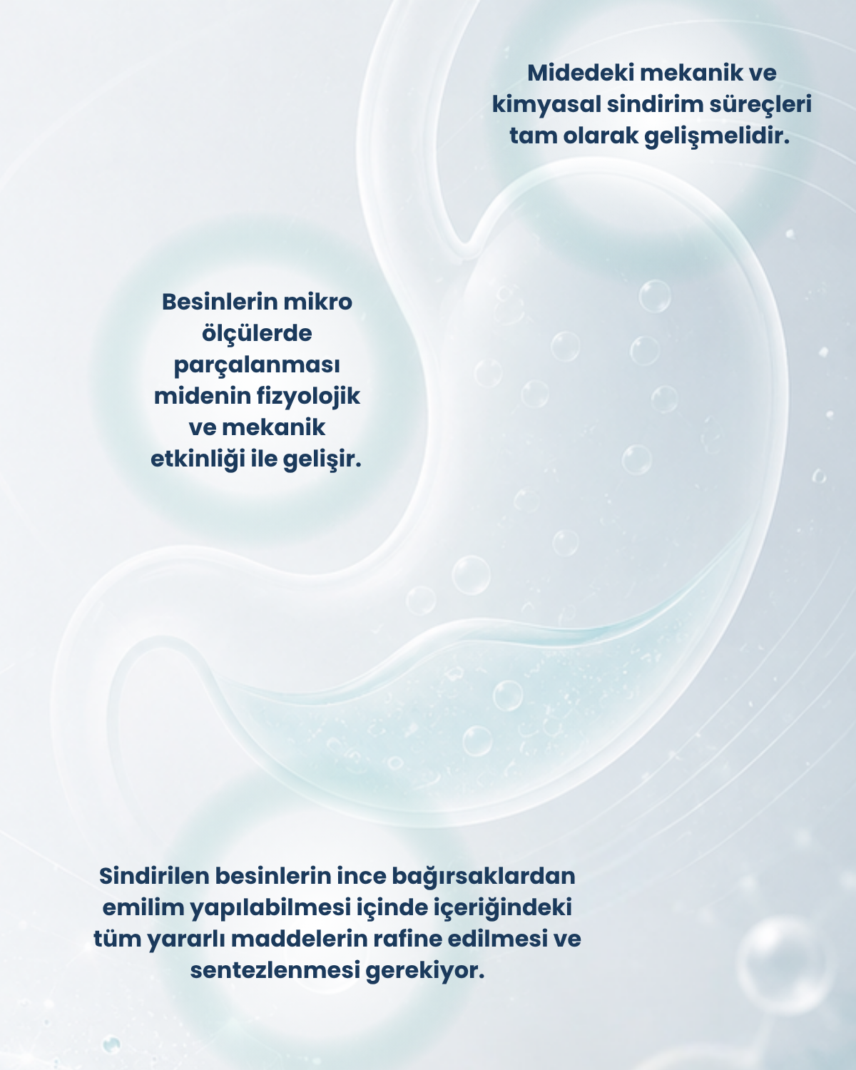 Mide Sağlığı Probiyotik Seti