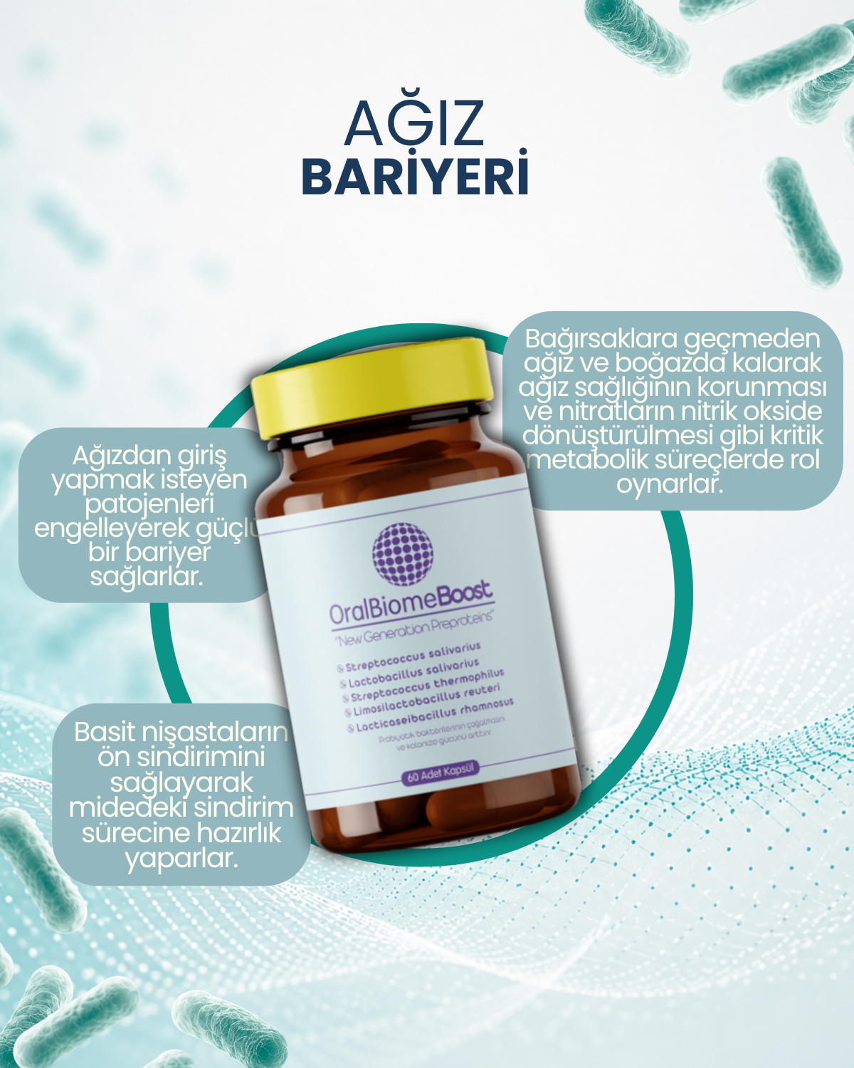 OralBiomeBoost 60 Kapsül
