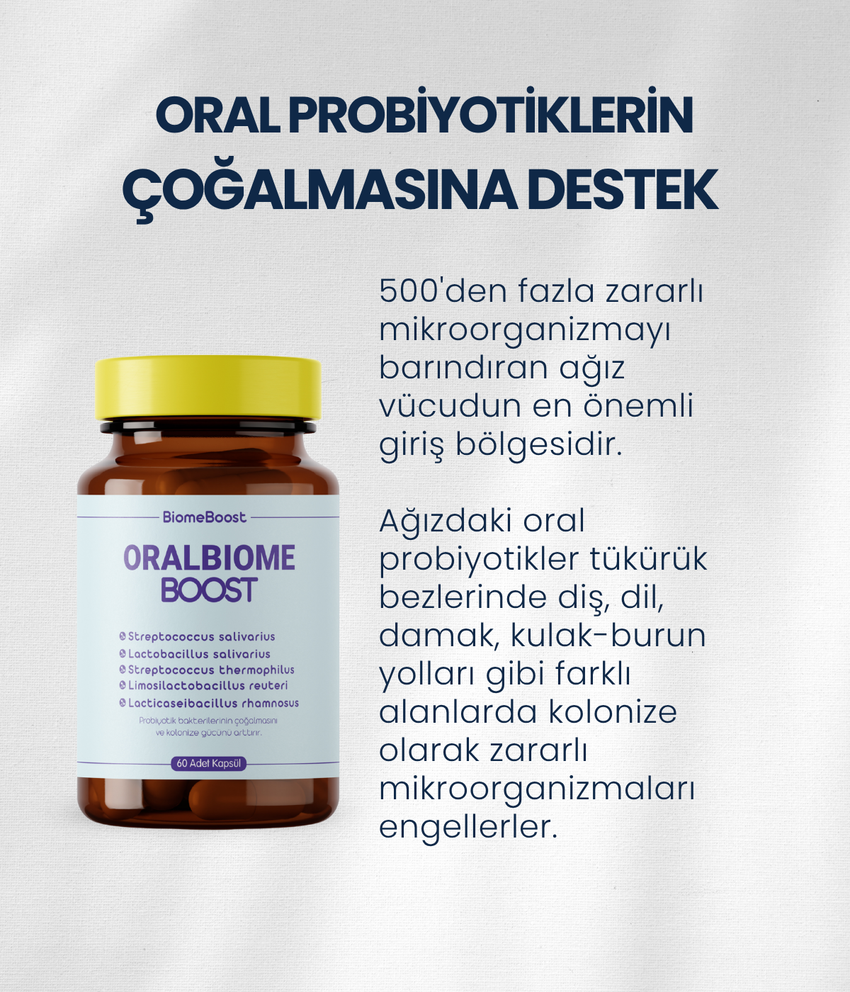 OralBiomeBoost 60 Kapsül