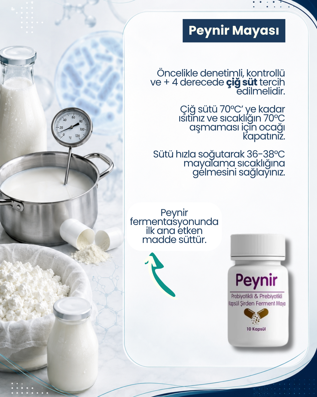 Peynir Mayası 10 Kapsül