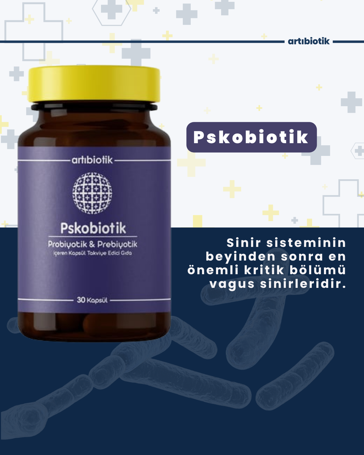 Pskobiotik (İkili)
