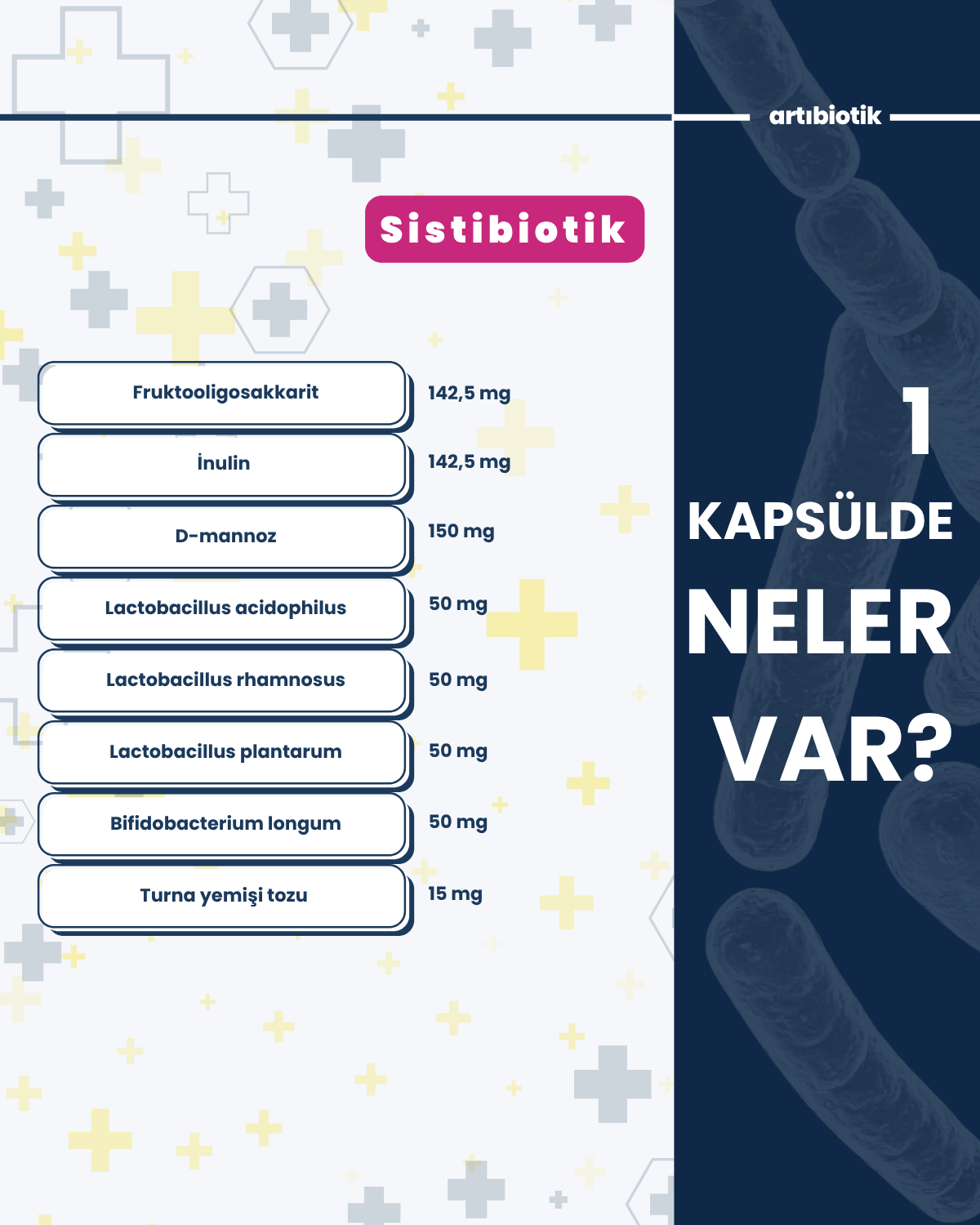Sistibiotik (İkili)