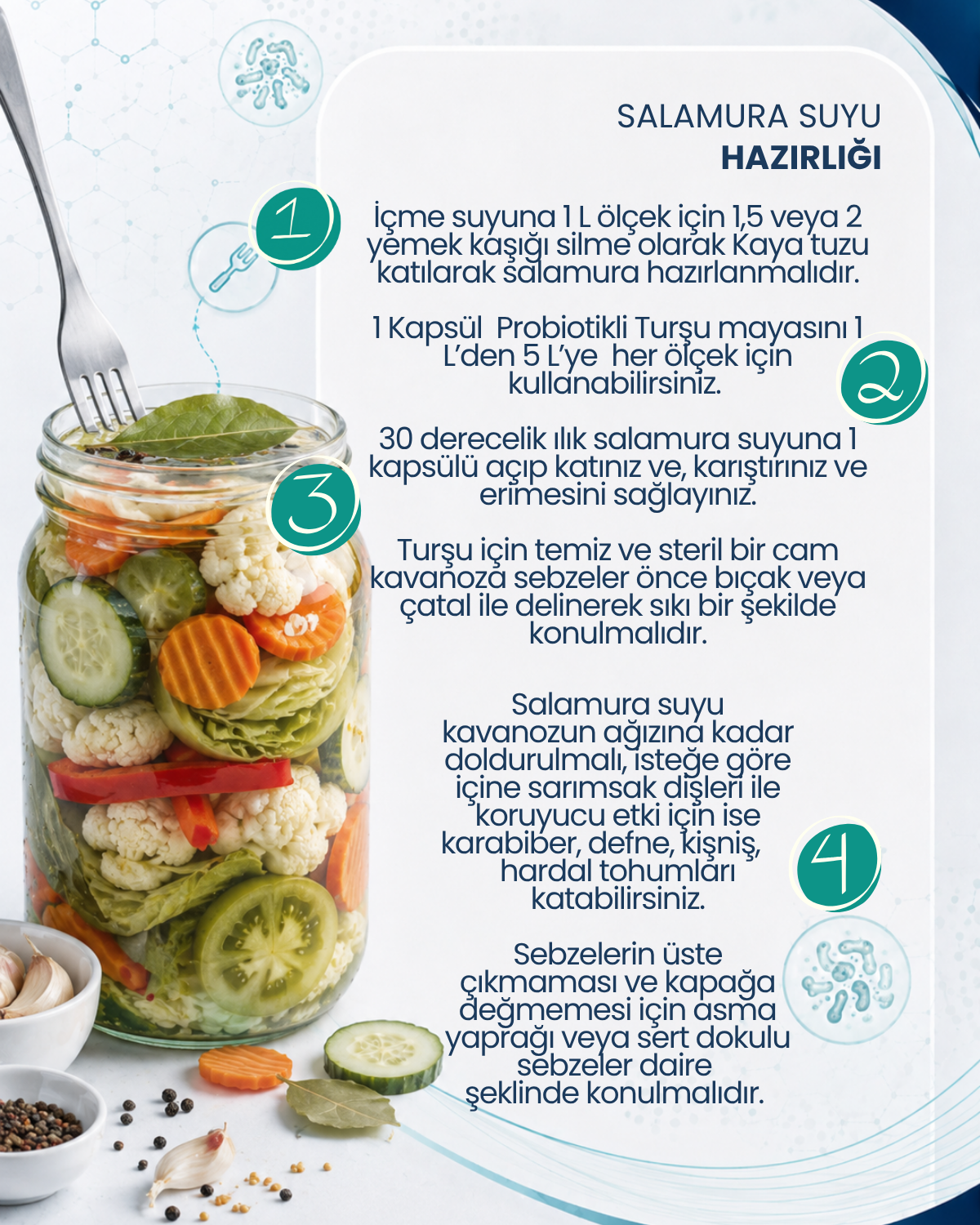 Turşu Mayası 10 Kapsül