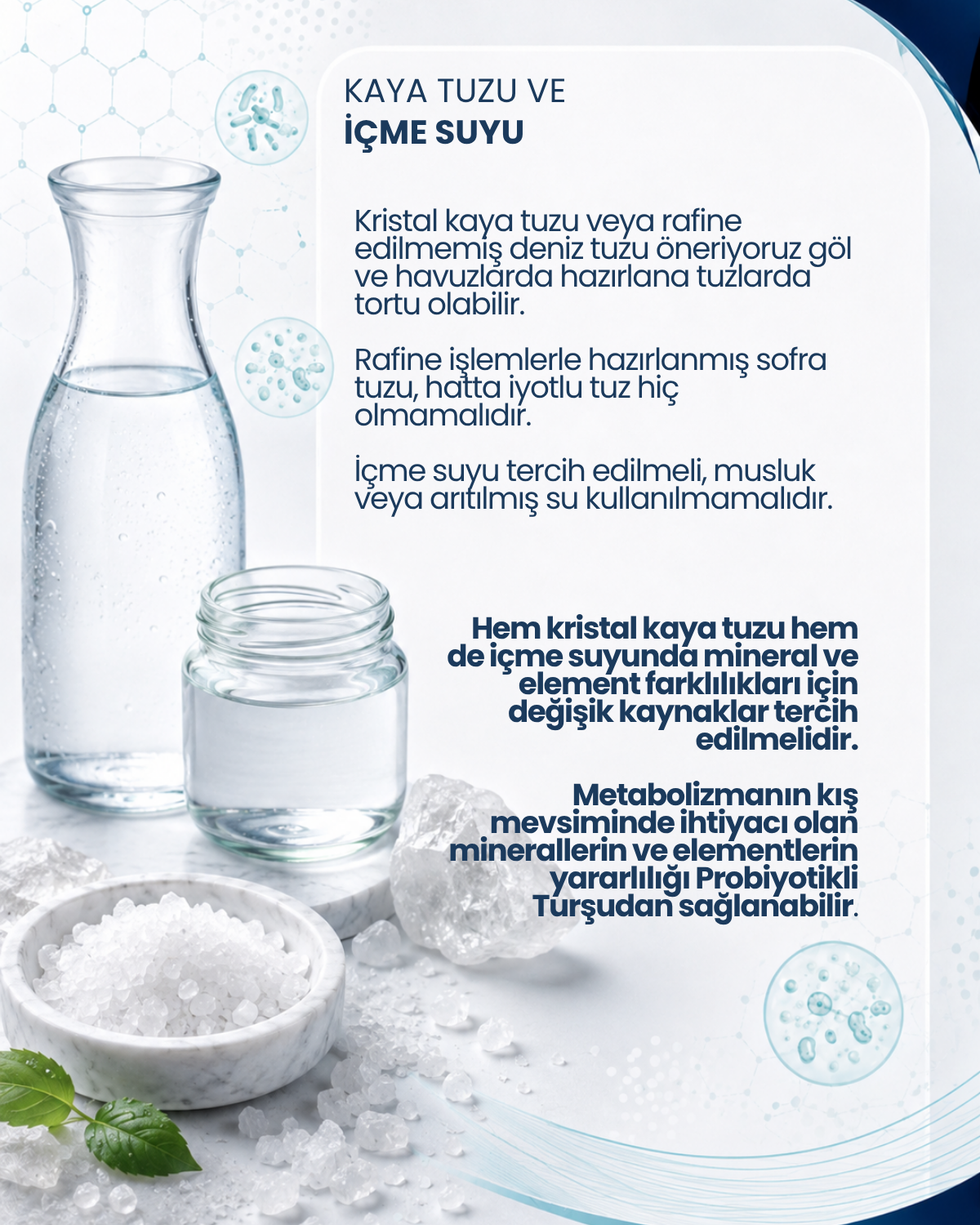 Turşu Mayası 10 Kapsül