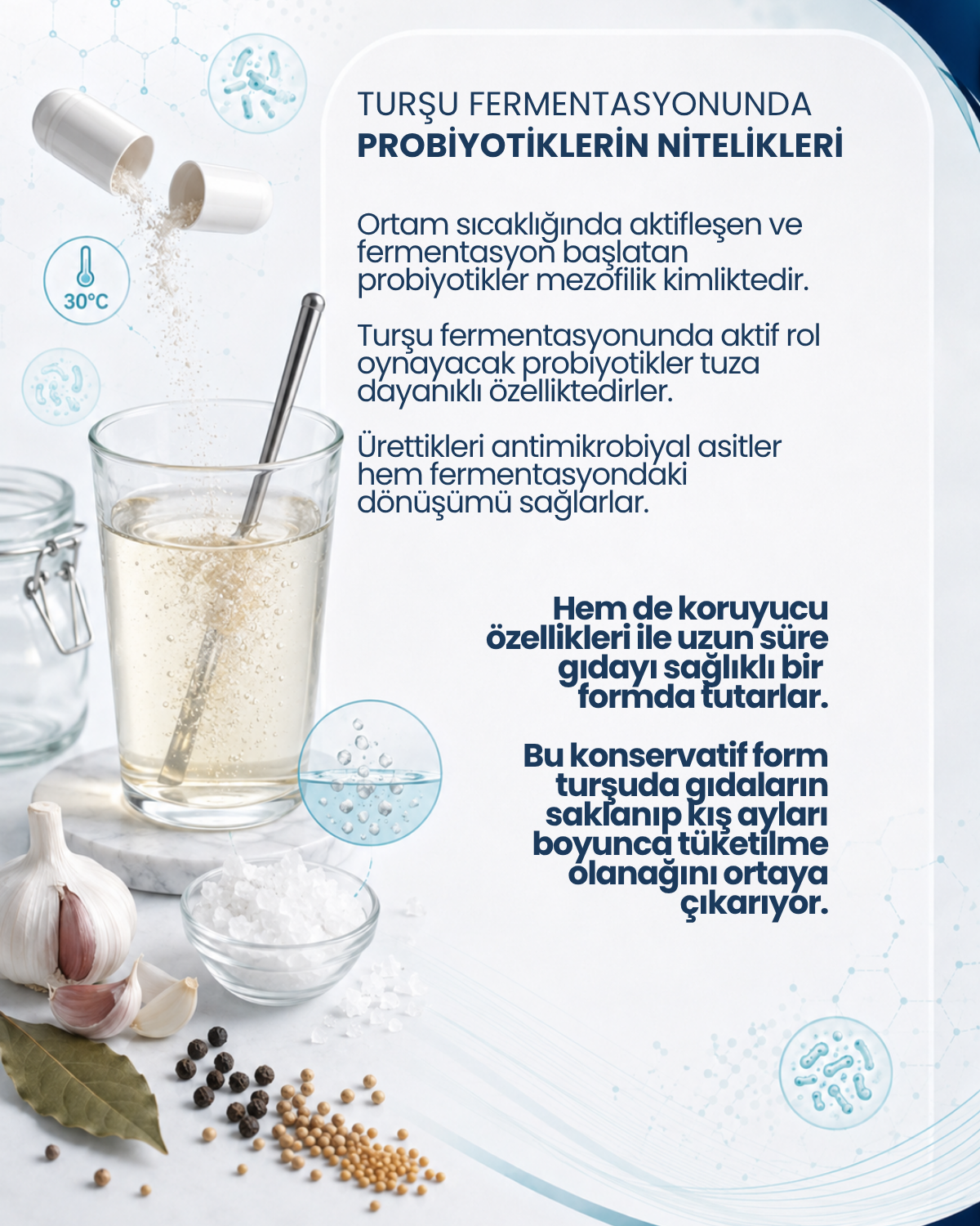 Turşu Mayası 10 Kapsül