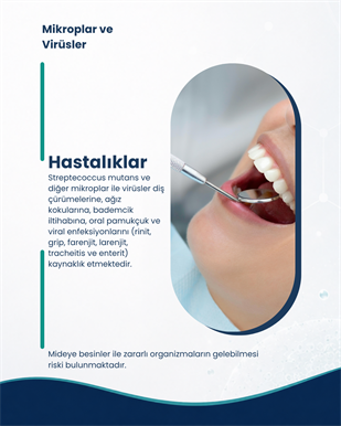 Ağız Sağlığı Probiyotik Seti