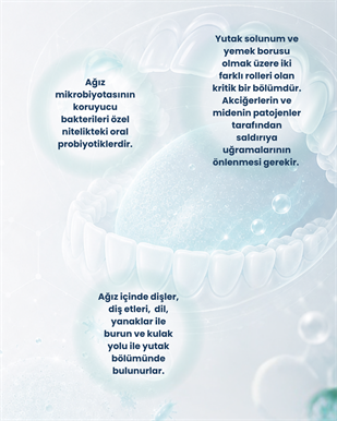 Ağız Sağlığı Probiyotik Seti