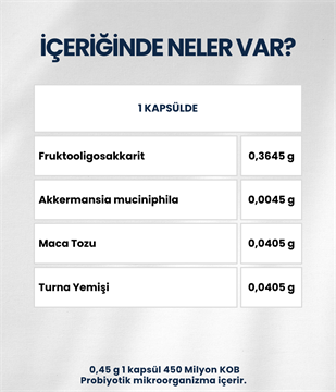 Akkermansiam (60 Kapsül)