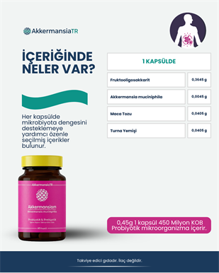 Akkermansiam (60 Kapsül)