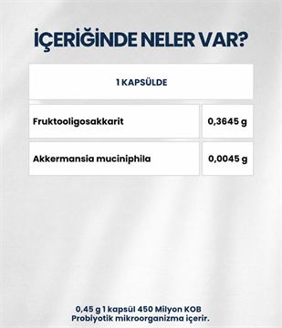 Akkermansiam (60 Kapsül)