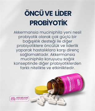 Akkermansiam (60 Kapsül)