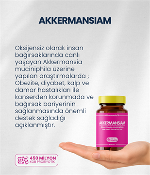 Akkermansiam (60 Kapsül)