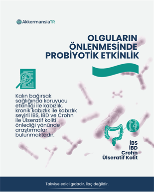 Akkermansiam-B (60 Kapsul)