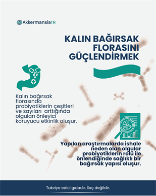 Akkermansiam-D (40 Kapsul)