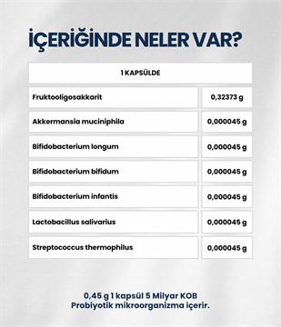 Akkermansia-H (60 Kapsül)