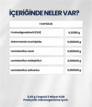 Akkermansia-OX (60 Kapsül)