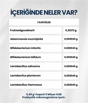 Akkermansia-S (60 Kapsül)