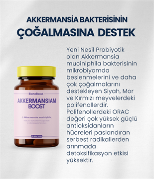 AkkermansiamBoost Emilebilir Form (60 Adet)