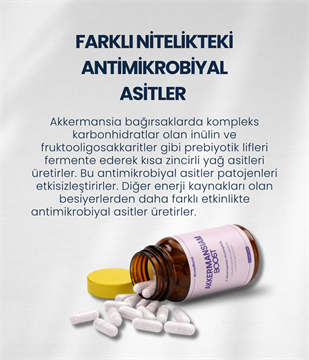 AkkermansiamBoost Emilebilir Form (60 Adet)