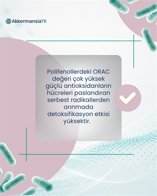 AkkermansiamBoost Emilebilir Form (60 Adet)