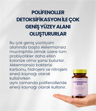 AkkermansiamBoost Emilebilir Form (60 Adet)