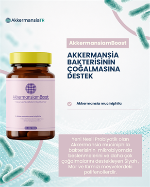 AkkermansiamBoost Emilebilir Form (60 Adet)