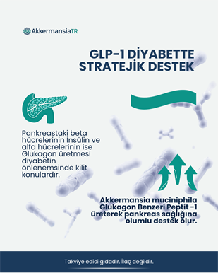 AkkermansiamPlus (60 Kapsul)