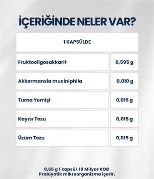 AkkermansiaTR (60 Kapsül)
