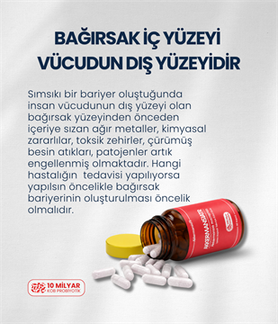 AkkermansiaTR (60 Kapsül)