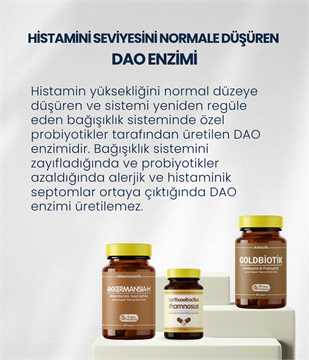 Alerjik/Histaminik Probiyotik Seti