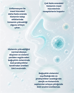 Alerjik/Histaminik Probiyotik Seti