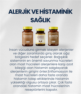 Alerjik/Histaminik Probiyotik Seti