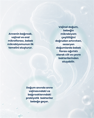 Anne/Bebek Sağlığı Probiyotik Seti