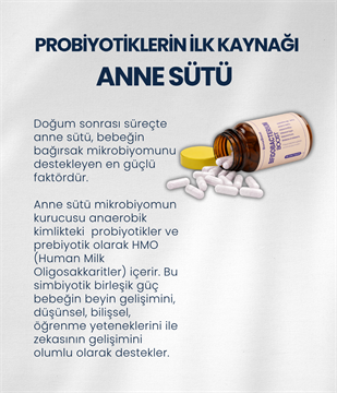 Anne/Bebek Sağlığı Probiyotik Seti