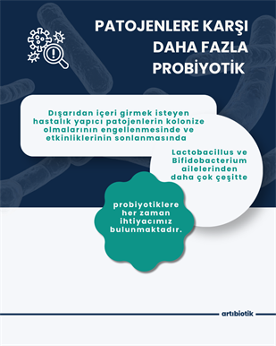 Artıbiotik Bestbiotik(60 Kapsül)