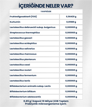 Artıbiotik Sndibiotik (60 Kapsül) 